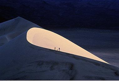 Fami通新一周销量榜 《精灵宝可梦朱＆紫》继续登顶